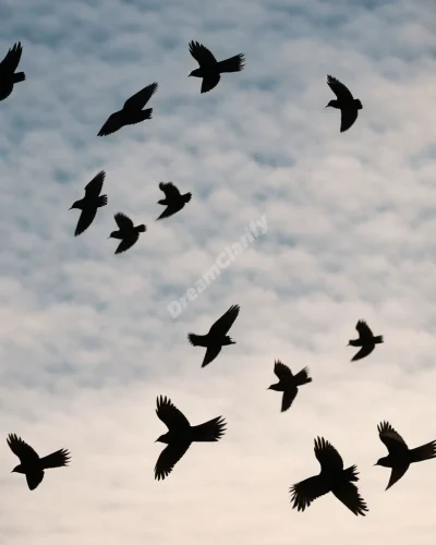 A flock of jackdaws forming shapes in the sky, each bird carrying a small dream symbol in its beak.